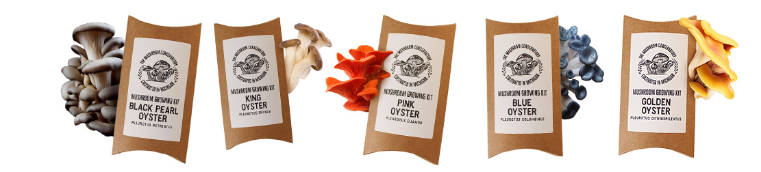 the best mushroom grow kits
