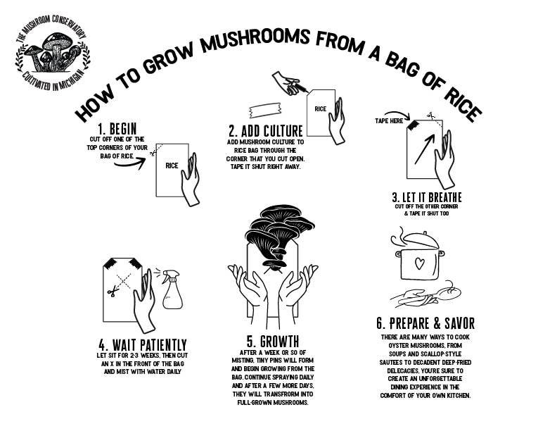 Pink Oyster Mushroom Growing Kit - The Mushroom Conservatory