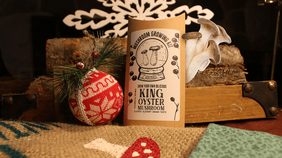 Holiday Edition King Oyster Gourmet Mushroom Growing Kit - The Mushroom Conservatory