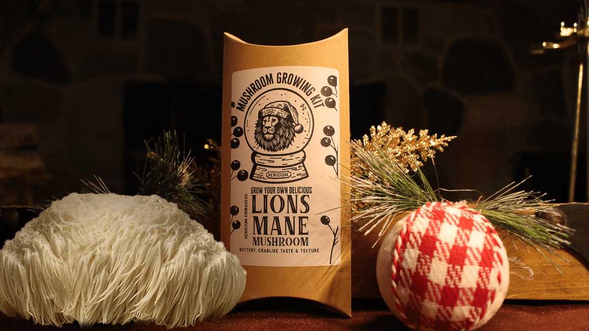 Lions Mane Gourmet Mushroom Growing Kit Holiday Edition - The Mushroom Conservatory