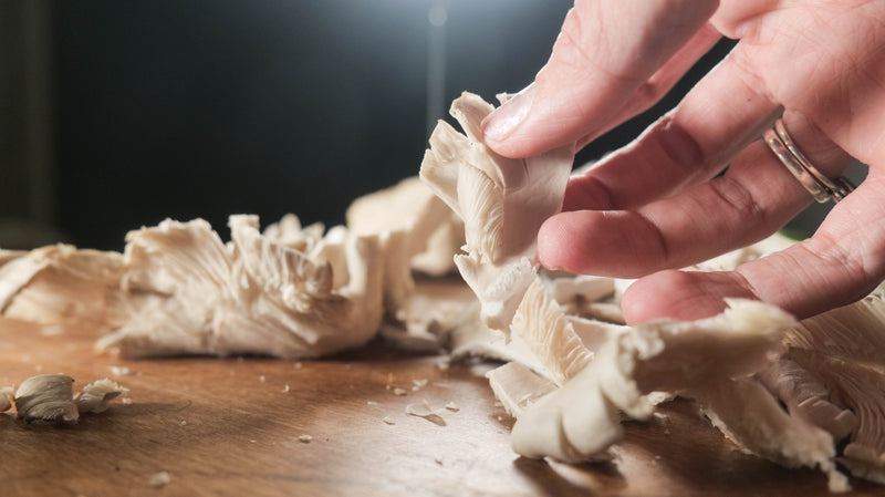 Cooking with Mushrooms