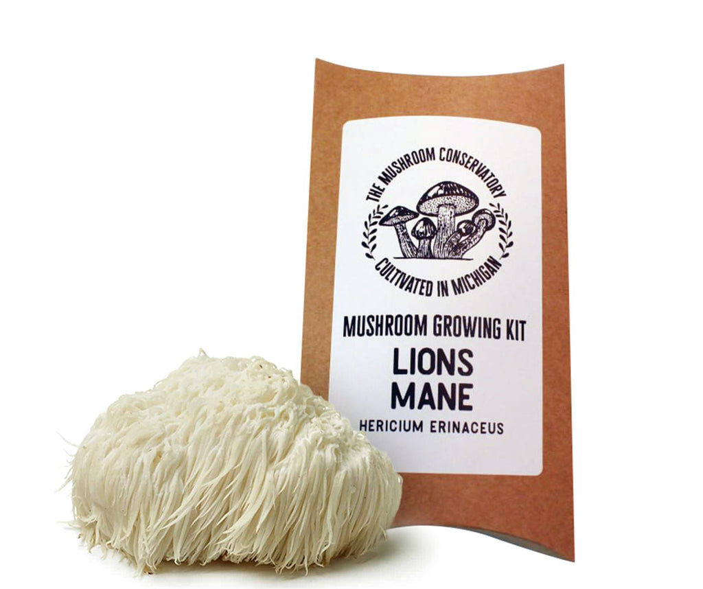 Lions Mane Gourmet Mushroom Growing Kit - The Mushroom Conservatory