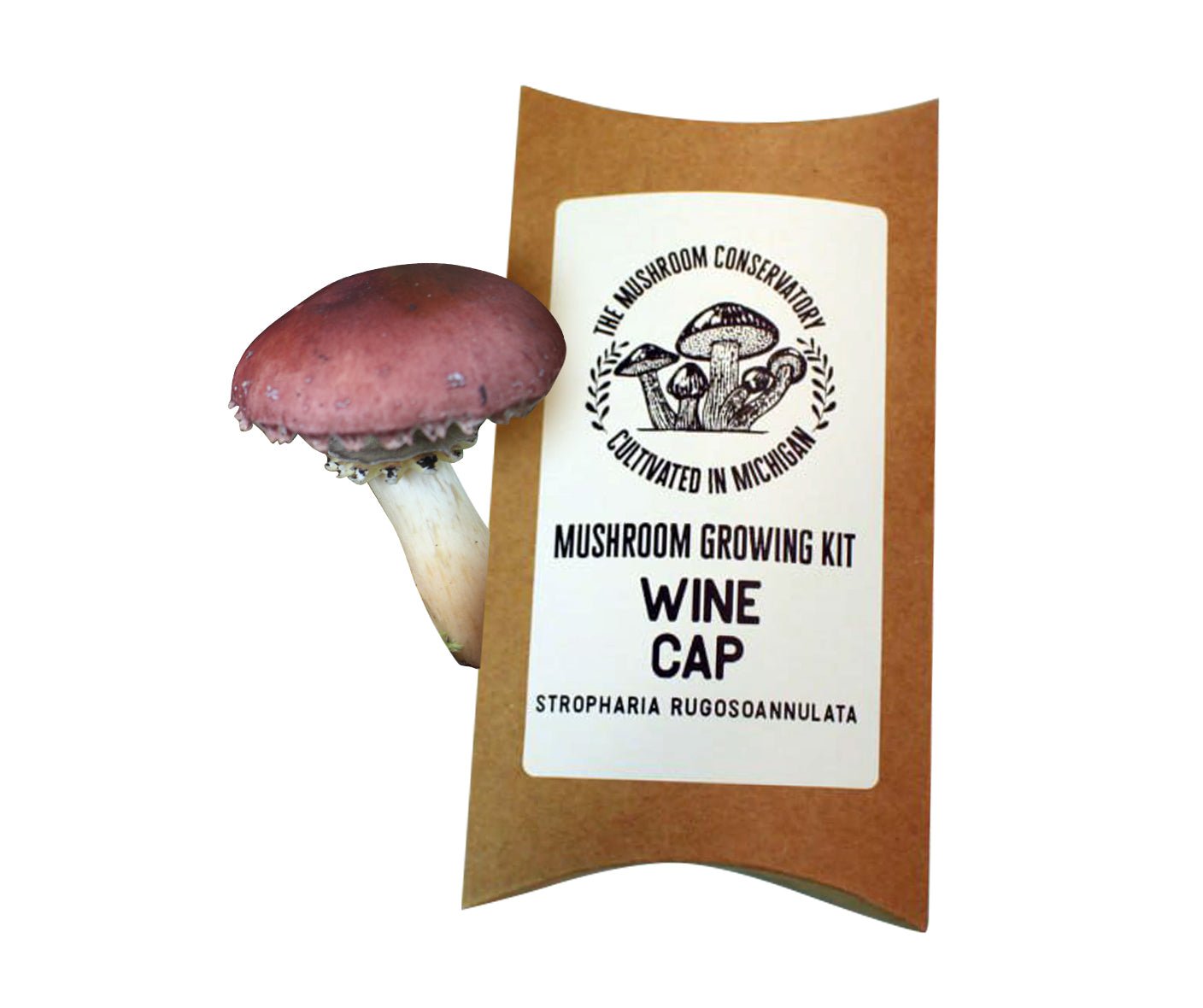Wine Cap Gourmet Mushroom Grow Kit - The Mushroom Conservatory