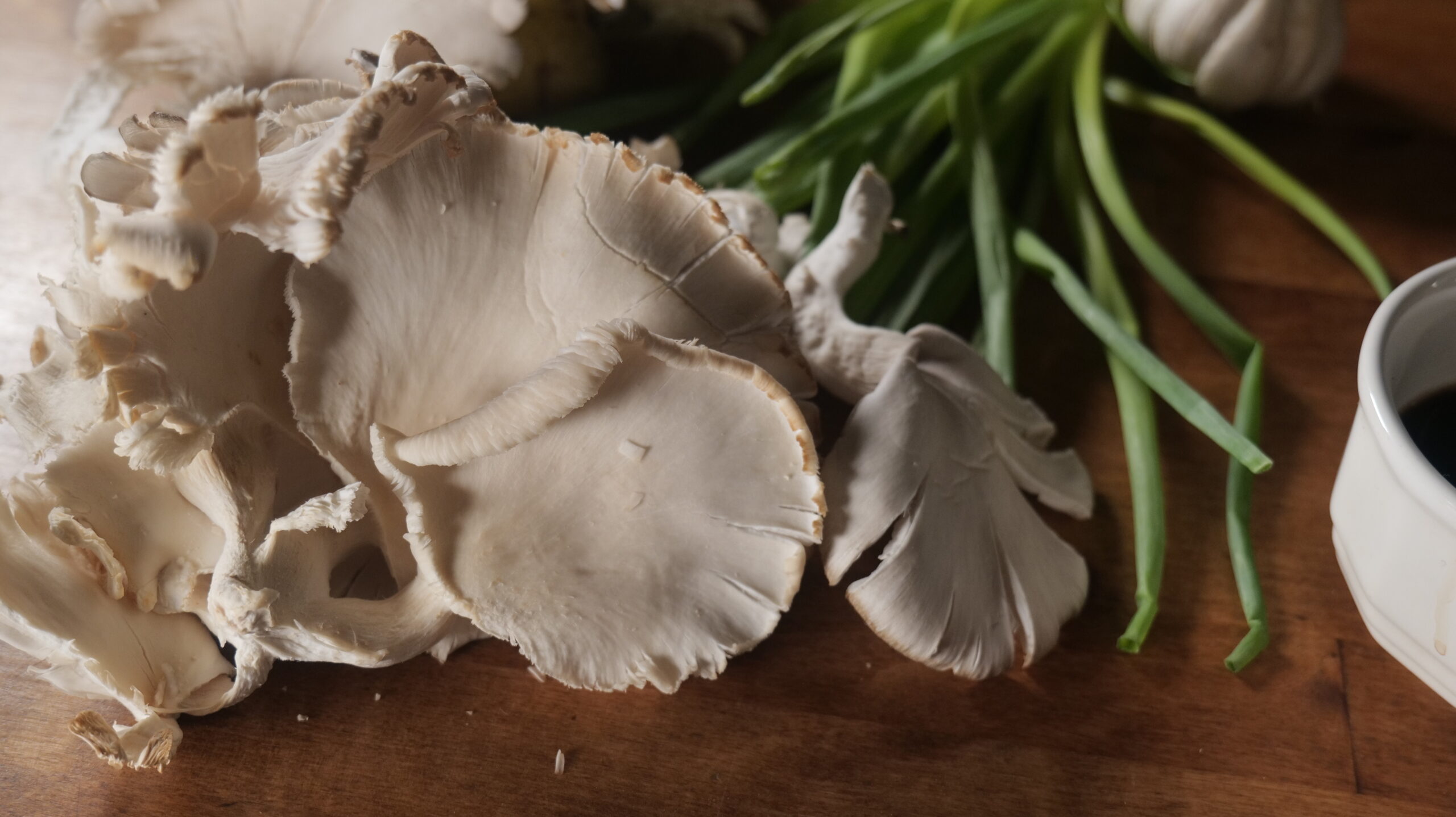 10 Reasons Why We Love Oyster Mushrooms!