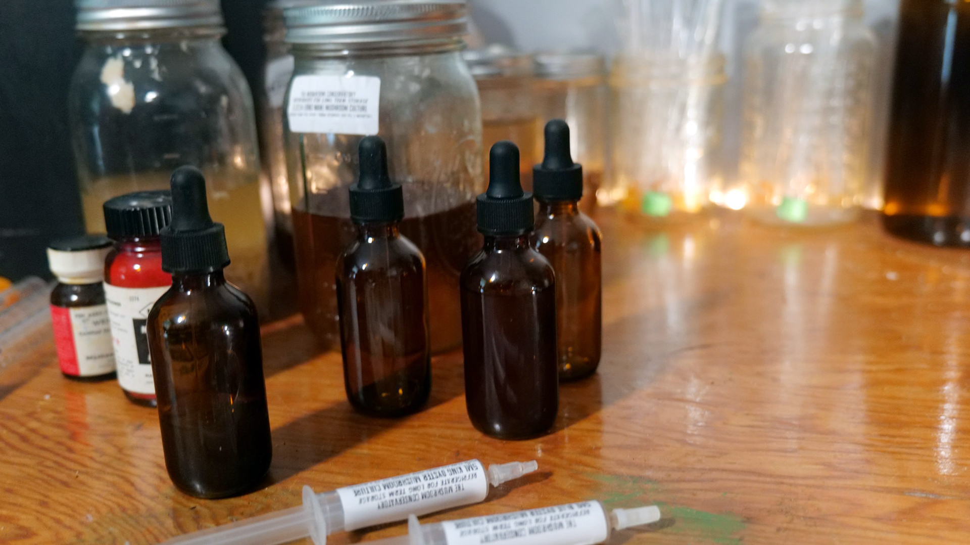 Making Mushroom Extracts & Tinctures Workshop with Erin Hamilton at MIgardener in St. Clair, Michigan – November 2, 2024