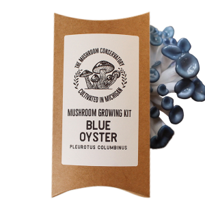 Blue Oyster Mushroom Grow Kit