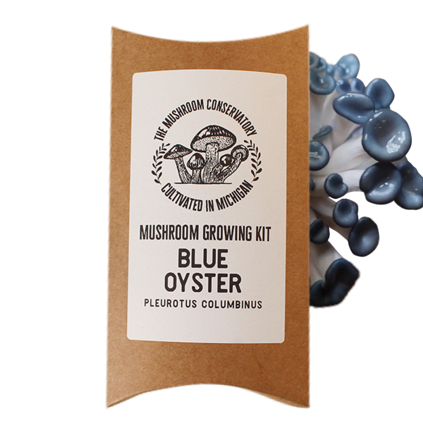 Blue Oyster Mushroom Grow Kit