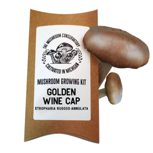 Wine Cap Mushroom Grow Kit