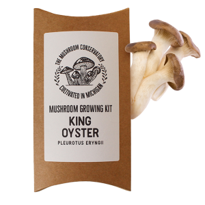 King Oyster Mushroom Grow Kit