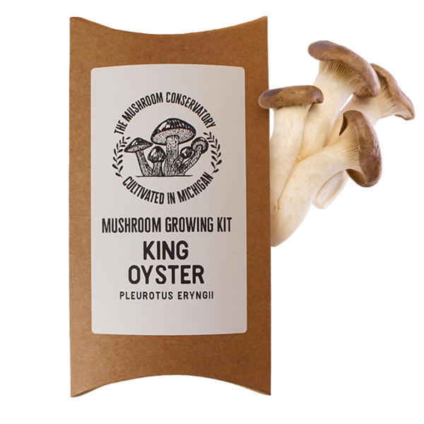 King Oyster Mushroom Grow Kit